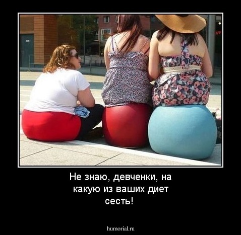 Не знаю, девченки, на какую из ваших диет сесть!