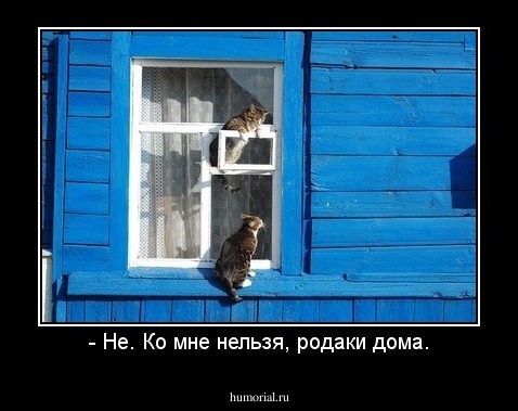 - Не. Ко мне нельзя, родаки дома.