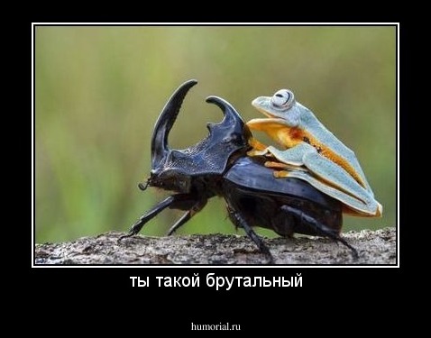 ты такой брутальный