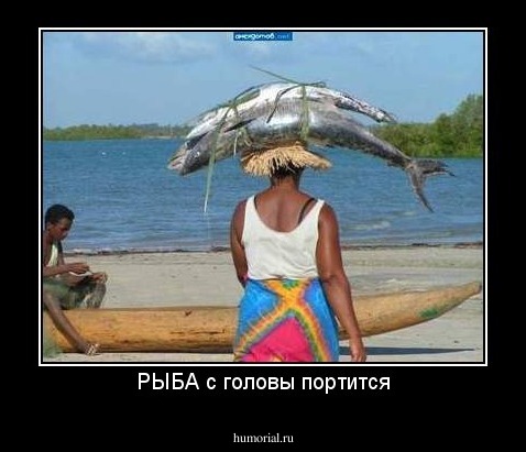 РЫБА с головы портится