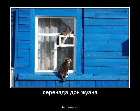 серенада дон жуана
