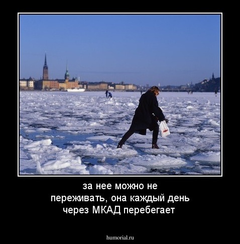 за нее можно не переживать, она каждый день через МКАД перебегает