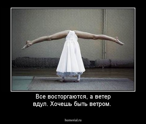 Все восторгаются, а ветер вдул. Хочешь быть ветром.