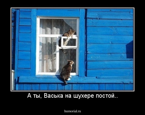 А ты, Васька на шухере постой..