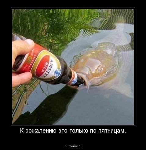 К сожалению это только по пятницам.