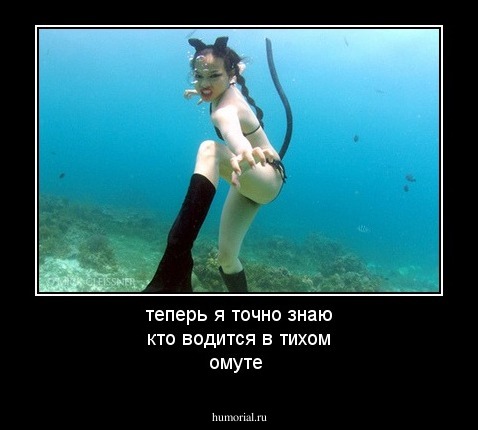 теперь я точно знаю кто водится в тихом омуте