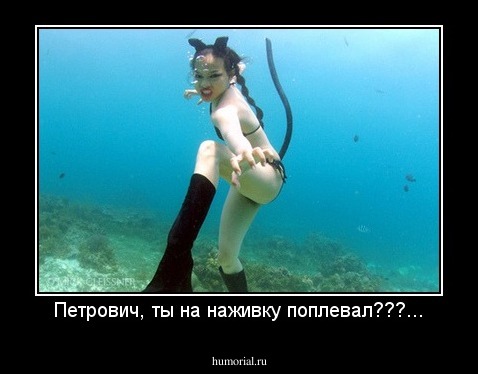 Петрович, ты на наживку поплевал???...