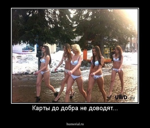 Карты до добра не доводят...