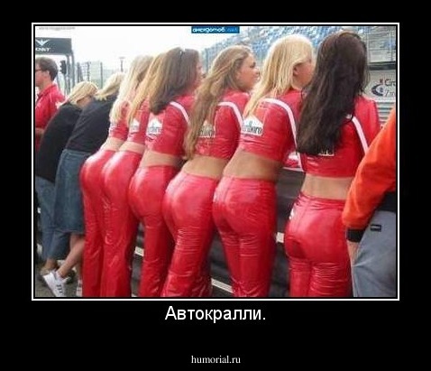 Автокралли.