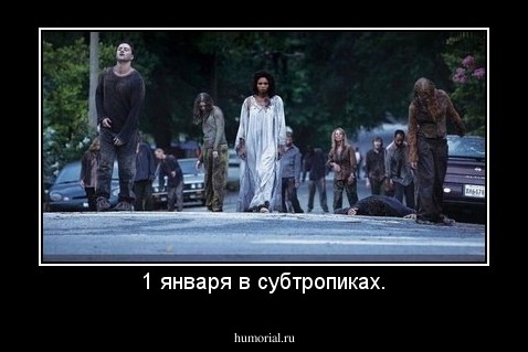 1 января в субтропиках.