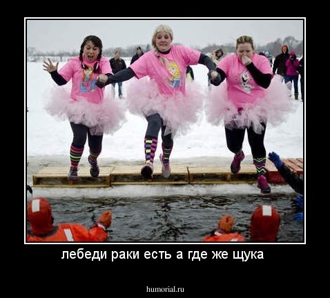 лебеди раки есть а где же щука 