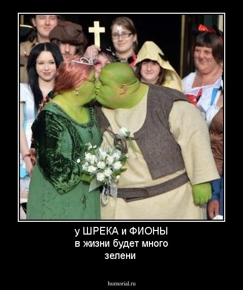 у ШРЕКА и ФИОНЫ в жизни будет много зелени