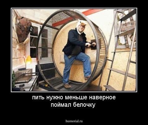 пить нужно меньше наверное поймал белочку