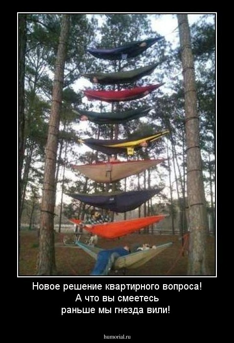 Новое решение квартирного вопроса! А что вы смеетесь раньше мы гнезда вили!