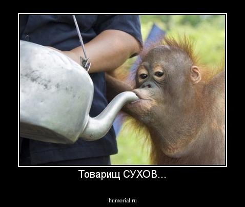 Товарищ СУХОВ...