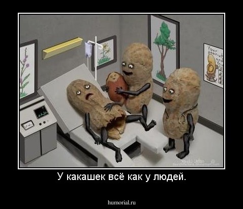 У какашек всё как у людей.