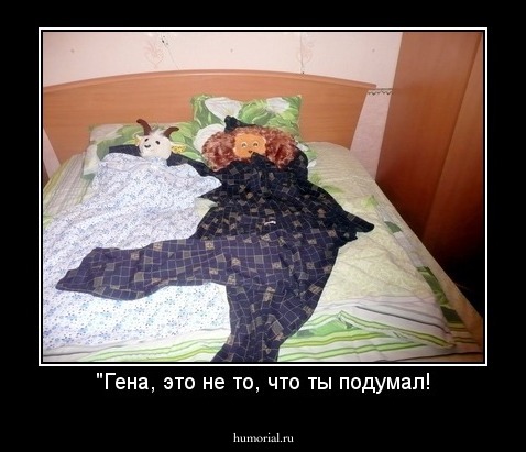 "Гена, это не то, что ты подумал!