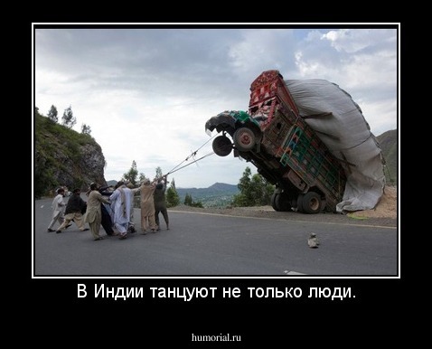 В Индии танцуют не только люди.