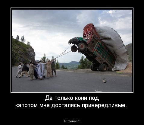 Да только кони под капотом мне достались привередливые.