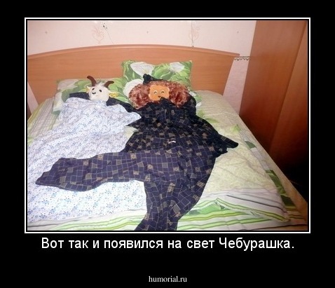 Вот так и появился на свет Чебурашка.