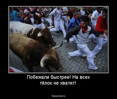 Побежали быстрее! На всех тёлок не хватит!