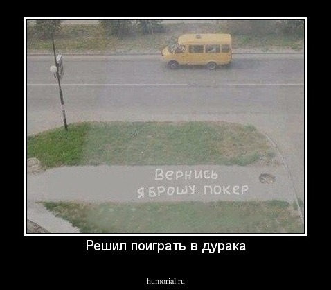 Решил поиграть в дурака
