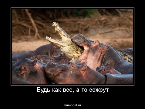 Будь как все, а то сожрут