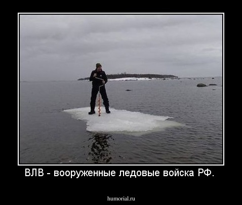 ВЛВ - вооруженные ледовые войска РФ. 