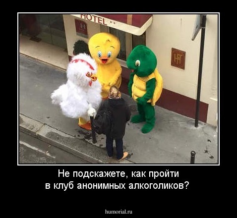 Не подскажете, как пройти в клуб анонимных алкоголиков?