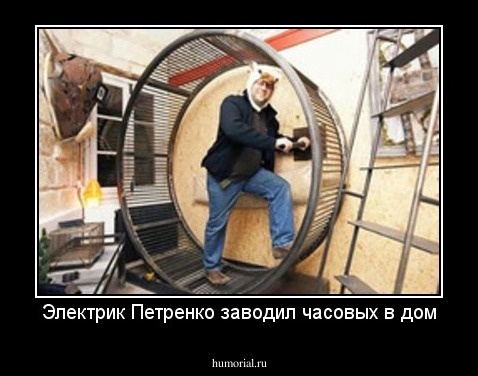 Электрик Петренко заводил часовых в дом
