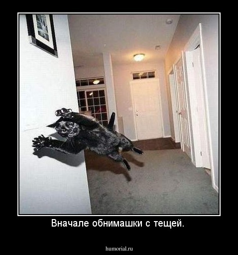 Вначале обнимашки с тещей. 