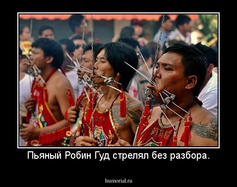 Пьяный Робин Гуд стрелял без разбора.