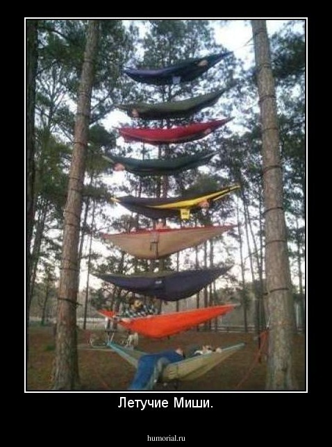 Летучие Миши.