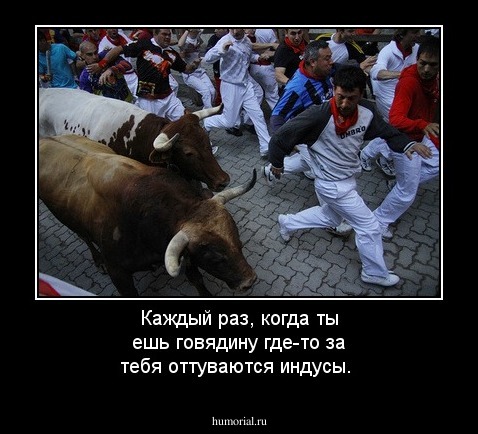Каждый  раз,  когда ты ешь говядину где-то за тебя оттуваются индусы.