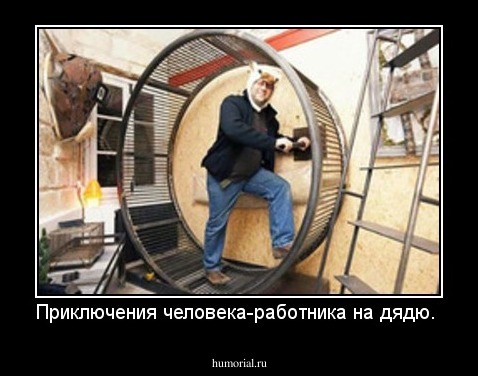 Приключения человека-работника на дядю.
