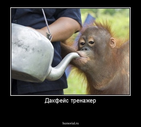 Дакфейс тренажер
