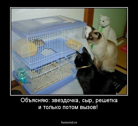Объясняю: звездочка, сыр, решетка и только потом вызов!