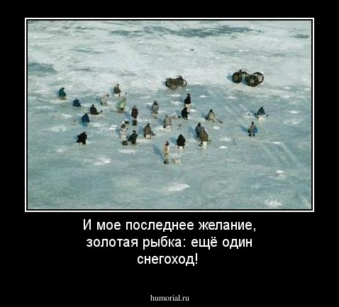 И мое последнее желание, золотая рыбка:  ещё один снегоход!