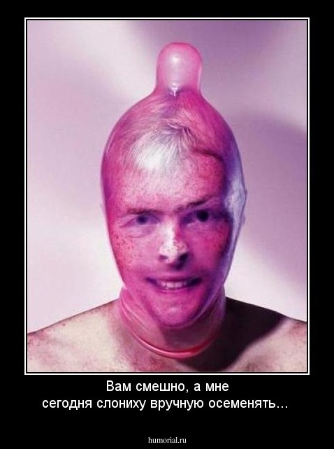 Вам смешно, а мне сегодня слониху вручную осеменять...