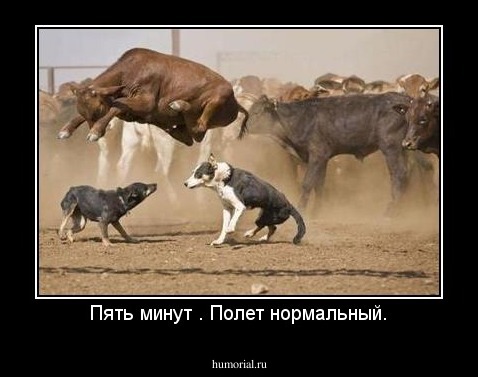 Пять минут . Полет нормальный.