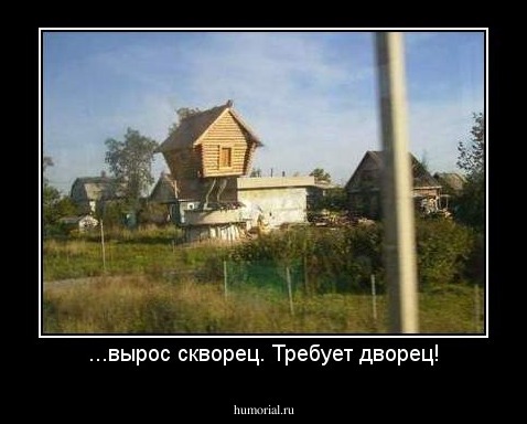 ...вырос скворец. Требует дворец!
