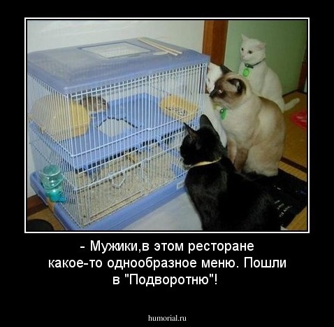 - Мужики,в этом ресторане какое-то однообразное меню. Пошли в "Подворотню"!