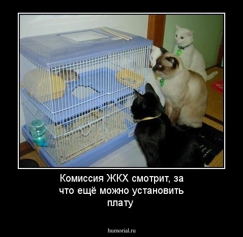 Комиссия ЖКХ смотрит, за что ещё можно установить плату
