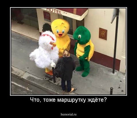 Что, тоже маршрутку ждёте?