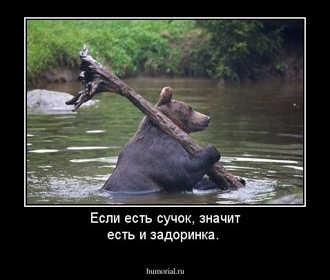 Если есть сучок, значит есть и задоринка.