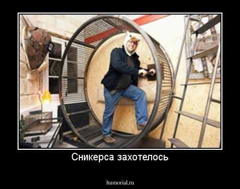 Сникерса захотелось