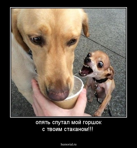 опять спутал мой горшок с твоим стаканом!!!