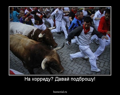 На корриду? Давай подброшу!