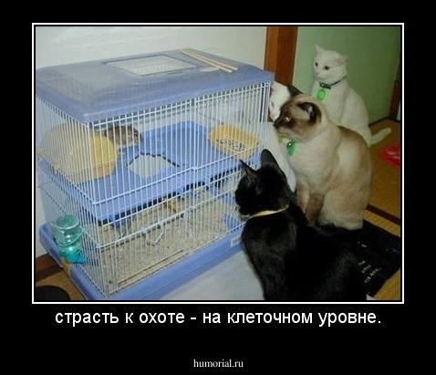 страсть к охоте - на клеточном уровне.