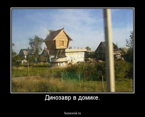 Динозавр в домике.